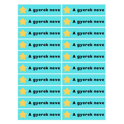 Téglalap alakú öntapadó címke - Autó, névvel