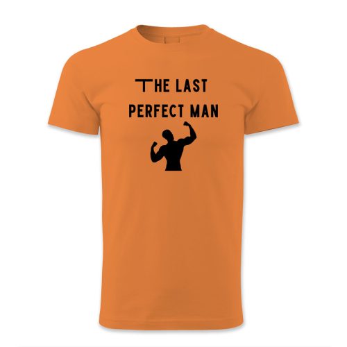 The last perfect man