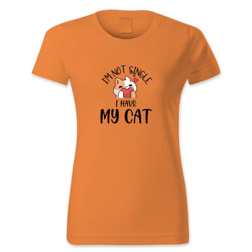 I am not single. I have my cat