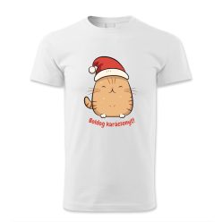 Boldog Karácsonyt, Cicás, Karácsony